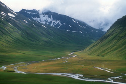 GEO-Naturreisen - Naturreisen weltweit - Island - Grne Berghnge Islands